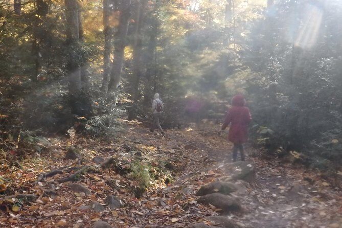 4-Day Canadian Camping Road Trip ("Moose On The Loose") - Who Would Love This Tour?