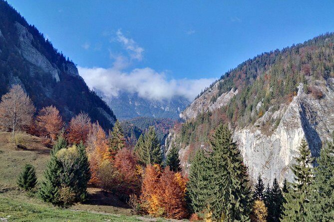 4-Day Carpathian Trek: Bucegi Mountains and Piatra Craiului National Park - Who Should Consider This?
