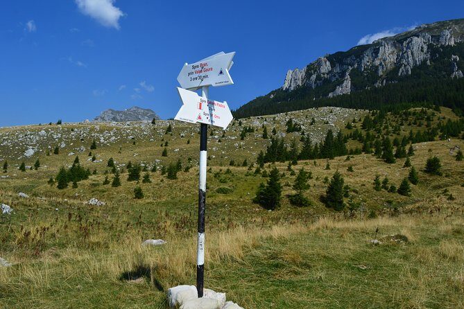 4-Day Carpathian Trek: Bucegi Mountains and Piatra Craiului National Park - Frequently Asked Questions