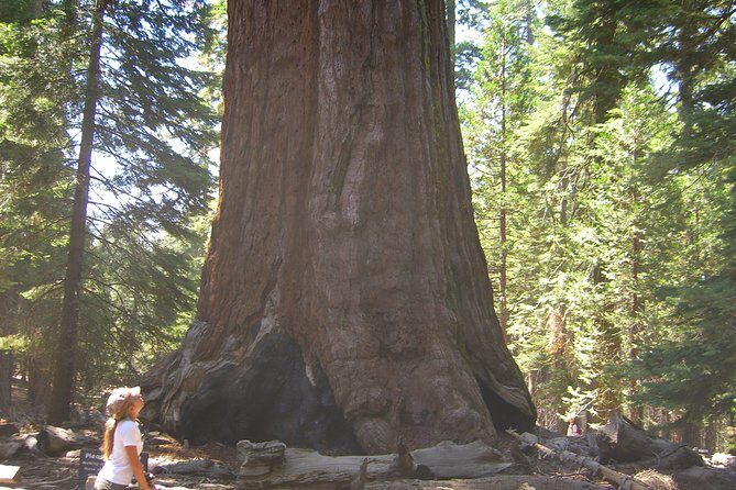 4 Day Death Valley, Yosemite, San Francisco from Las Vegas Camp or Lodge - Final Thoughts