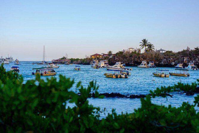 4-day Galapagos on a Budget Experience - Key Points