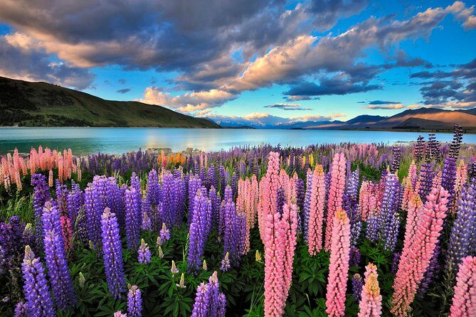 4-Day Great Southern Island Circle Tour from Christchurch - An In-Depth Look at the 4-Day South Island Tour