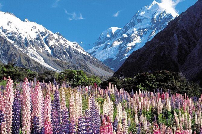4-Day Great Southern Island Circle Tour from Christchurch - Who Is This Tour Best For?