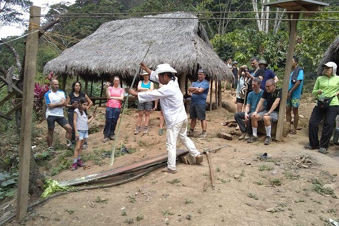 4-Day Lost City Small-Group Tour in Santa Marta - Who Will Love This Tour?