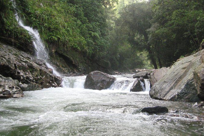 4-Day Lost City Small-Group Tour in Santa Marta - Exploring the Itinerary in Detail