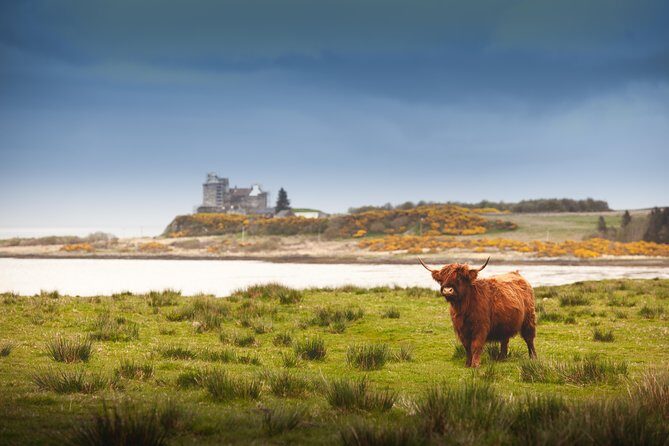 4-Day Magical Mull, Iona & West Highlands Small-Group Tour from Edinburgh - Frequently Asked Questions