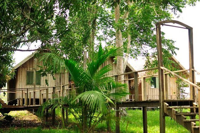 4-Day Manaus Amazon Jungle Adventure - Who Should Consider This Tour?