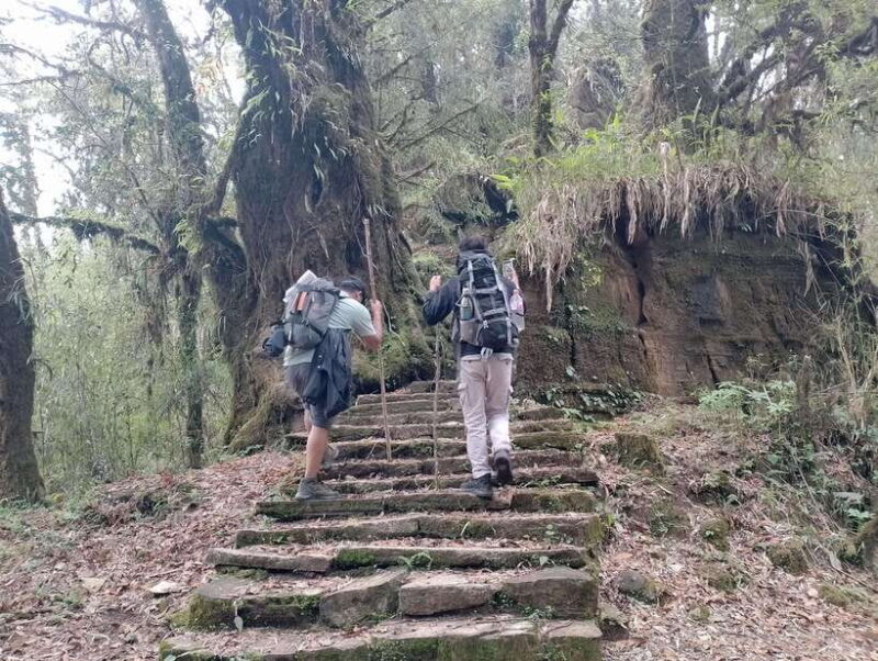 4 Day Mardi Himal Trek with 2 Day Chitwan Jungle Safari Tour - What Makes This Tour Special?