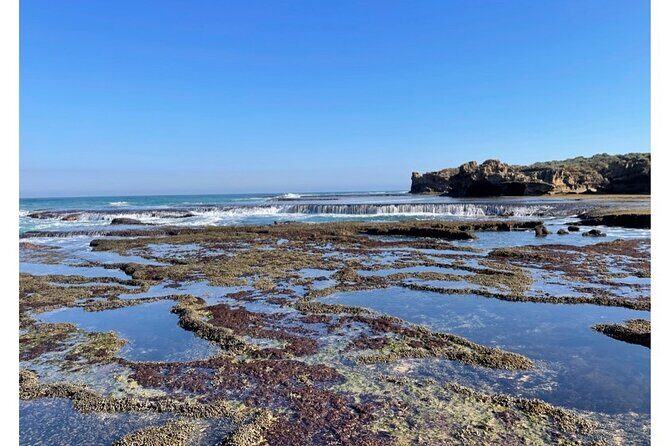 4 Day Mornington Peninsula Treks - Key Points