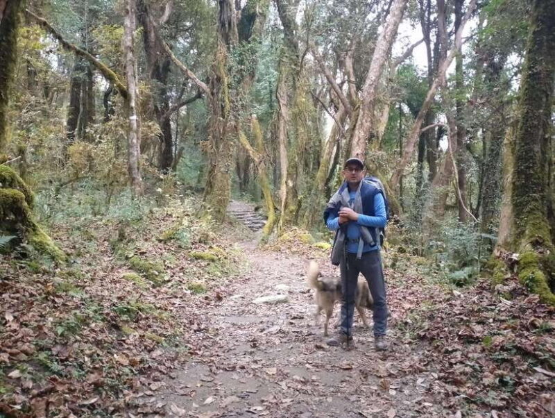 4-Day Mulde ,Poon Hill Trek Itinerary (Children-Friendly) - Key Points