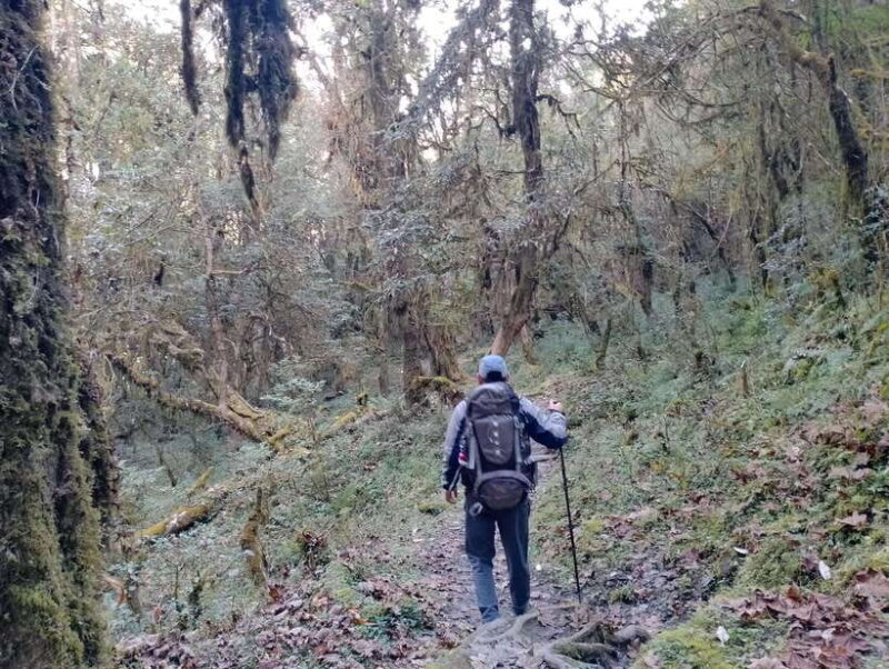 4-Day Mulde ,Poon Hill Trek Itinerary (Children-Friendly) - A Closer Look at the 4-Day Itinerary