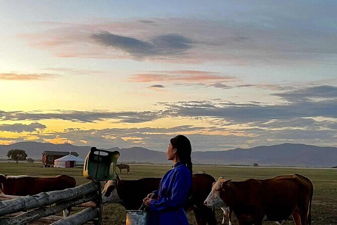 4 Day Nomadic Life Experience In Northern Mongolian - Key Points