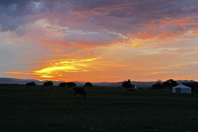 4 Day Nomadic Life Experience In Northern Mongolian - Who Should Consider This Tour?