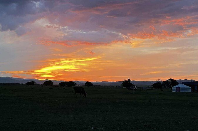 4 Day Nomadic Life Experience In Northern Mongolian - The Sum Up