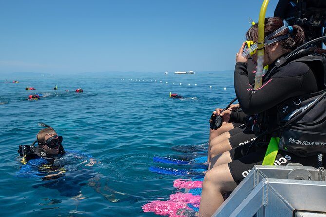 4-Day PADI Open Water Dive Course - Learn to Dive on the Great Barrier Reef - Exploring the Experience: What to Expect from Start to Finish