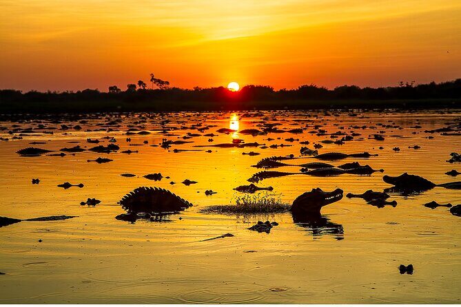 4-day Pantanal Tour with accommodation - Departing from Cuiaba - Evaluating the Experience: Is It Worth It?