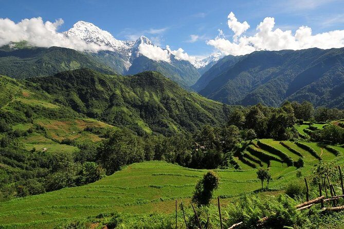 4-day Poon Hill Trek - Wrapping It Up