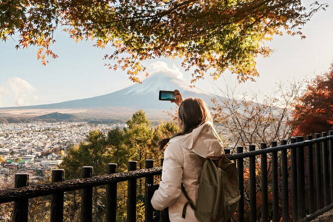 4-Day Private Tour MT Fuji, Kamakura, Hakone, Nikko - Transportation, Flexibility, and Value