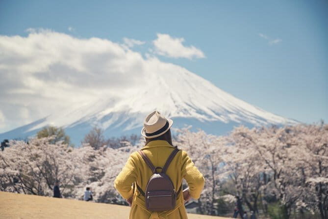 4-Day Private Tour MT Fuji, Kamakura, Hakone, Nikko - FAQ