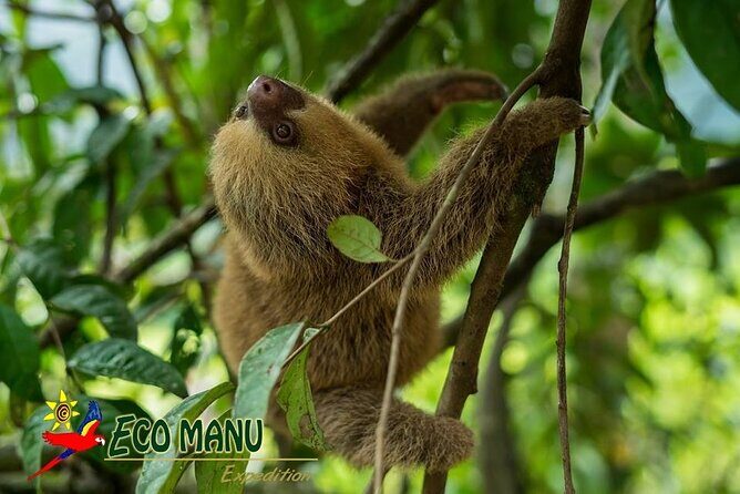 4-Day Private Tour to Manu National Park from Cusco - What’s Included and Practical Details