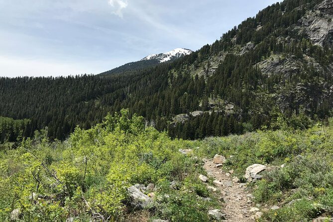 4-Day Small Group Tour: Yellowstone and Tetons Camping from Salt Lake City - Who Should Consider This Tour?