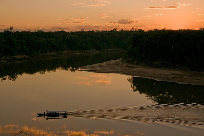 4 Day Tambopata Amazon Wildlife & Canopy Experience - Who Should Consider This Tour?