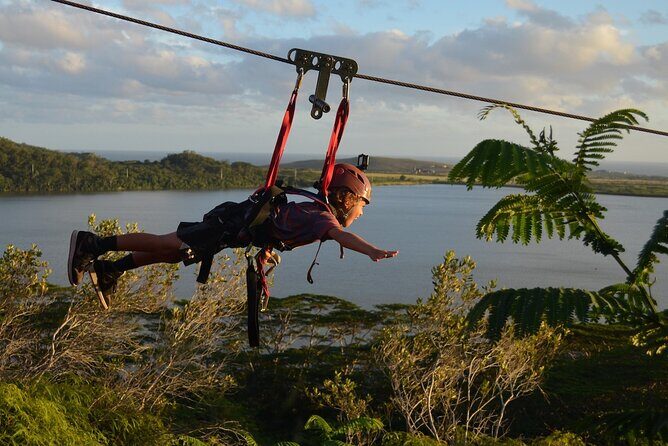 4 Day Tambopata Jungle Tour with Local Guide - Who Should Consider This Tour?