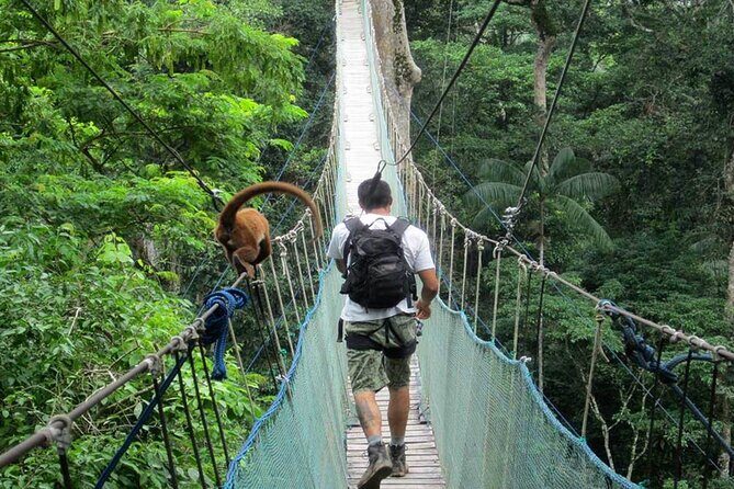 4-Day Tambopata National Reserve  Tambopata Peru Tours - An Introduction to the Tambopata Jungle Adventure