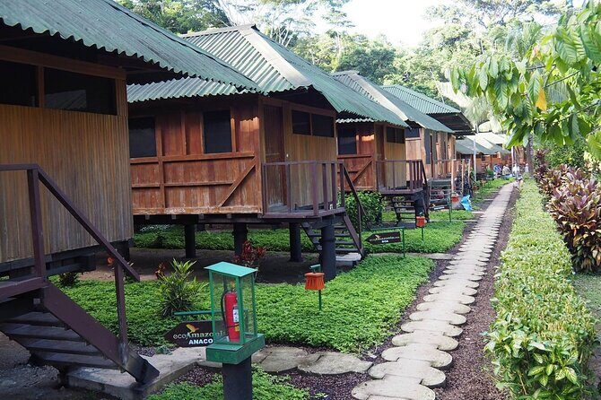 4-Day Tambopata Rainforest Adventure - What Sets This Tour Apart?