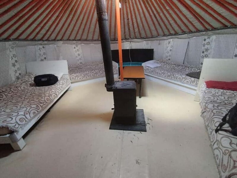 4 day Terelj national park and Great Gobi - Why This Tour Works for You