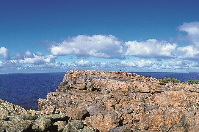 4 Day Tour: Albany, Margaret River, Valley of the Giants TreeTop Walk from Perth - An In-Depth Look at the 4-Day Western Australia Adventure