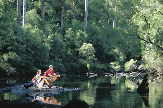 4 Day Tour: Albany, Margaret River, Valley of the Giants TreeTop Walk from Perth - Final Thoughts