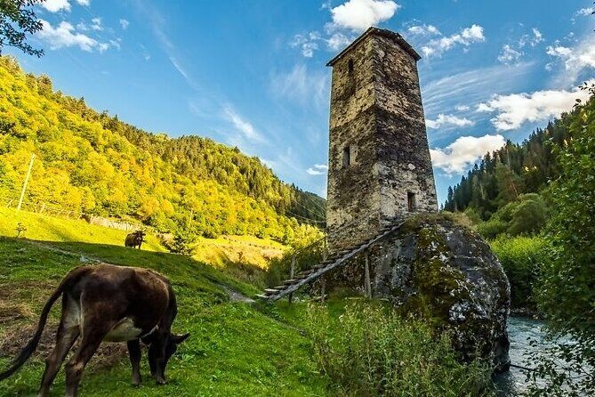 4-Day Tour in Svaneti - Mestia/Ushguli - The Authentic Experience: What Travelers Love