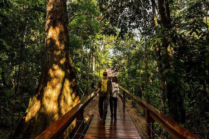 4 Day Tour in Tambopata National Reserve - A Closer Look at the 4-Day Tambopata National Reserve Tour