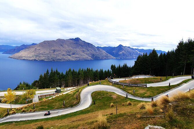 4 Day Tour to Milford Sound, Mount Cook & More from Auckland - Who Will Love This Tour?