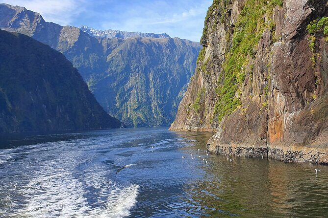 4 Day Tour to Milford Sound, Mount Cook & More from Christchurch - Day 4: Glowworms and the End of the Journey