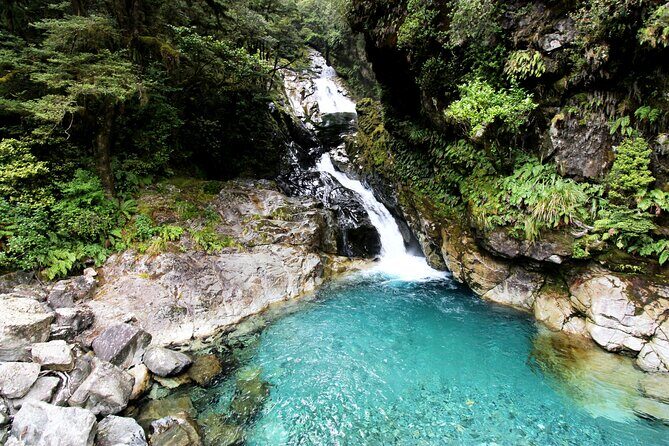 4 Day Tour to Milford Sound, Mount Cook & More from Christchurch - Why This Tour Offers Real Value for Your Money