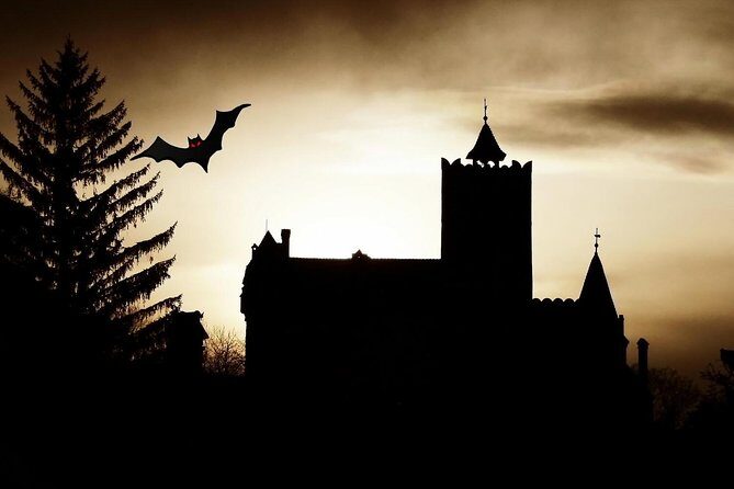 4-Day Transylvania and Dracula Tour from Bucharest - Why This Tour Offers Real Value