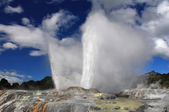 4-Day Wellington to Auckland via Rotorua Tour - Transport and Accommodation