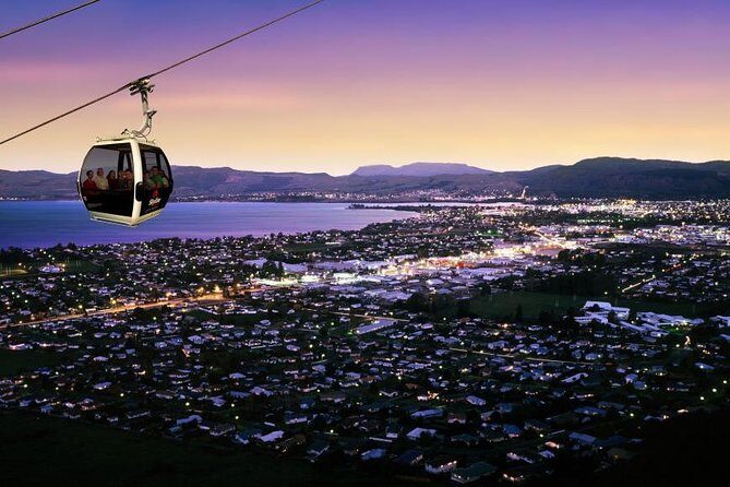 4-Day Wellington to Auckland via Rotorua Tour - Who Is This Tour Best For?
