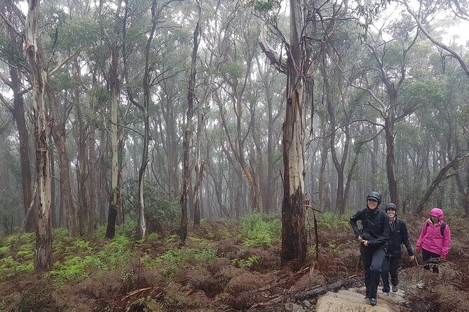 4 Day Wild Tasmania Tour / Wildlife, Nature, Hiking / Inc. Accom - Frequently Asked Questions