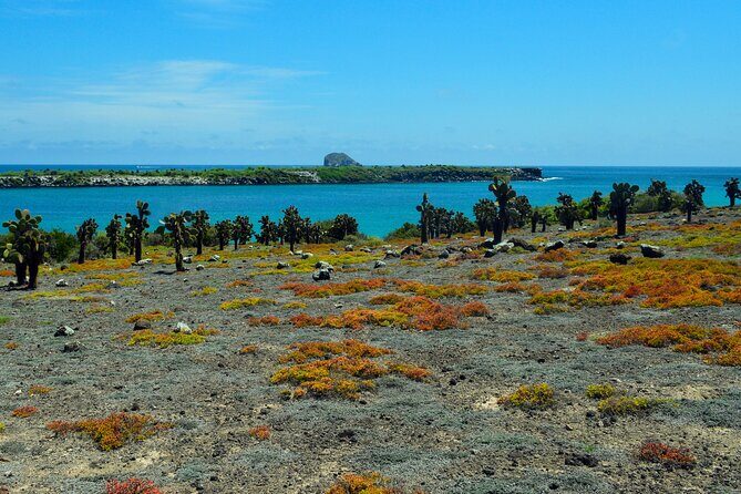 4-Day Wildlife Tour in Santa Cruz Island - An In-Depth Look at the 4-Day Galapagos Wildlife Tour