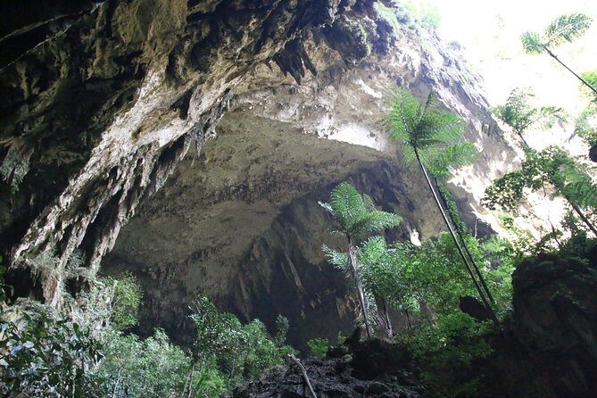 4 Days 3 Nights Mulu 4 Showcaves with Pinnacles - A Deep Dive into the Mulu Experience