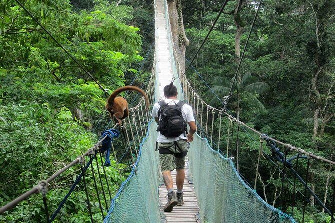 4 days 3 nights  Peruvian Tambopata Jungle - In-Depth Review of the Tambopata Jungle Tour