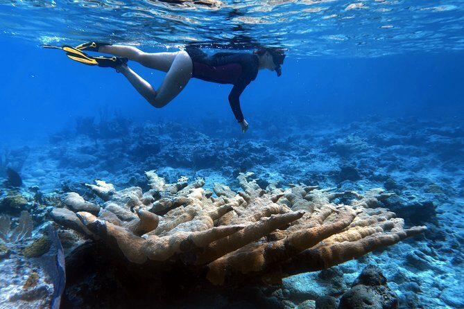 4 Days, 3 Nights Sailing Catamaran Experience in the Exumas, Bahamas - Why This Catamaran Experience Stands Out