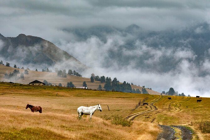 4 Days 3 Nights Tour to Tusheti with Hiikes - Exploring Georgia’s Hidden Gem: Tusheti