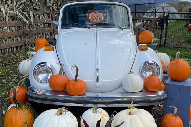 4 Days Canadian Rockies Fall/Spring Tour - Key Points