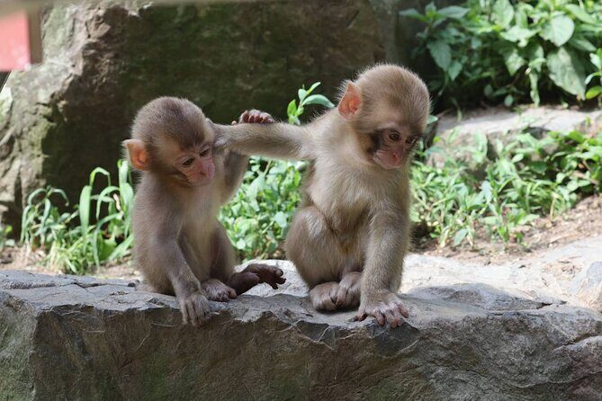 4 Days Central Japan Tour from Nagano to Kanazawa - Frequent Questions