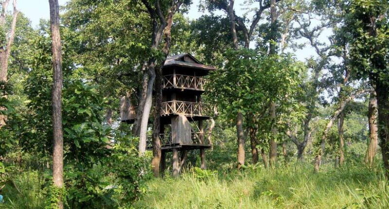 4 Days Chitwan Jungle Tour with 1 Night Jungle Tower stay - A Balanced Look at the 4-Day Chitwan Jungle Tour