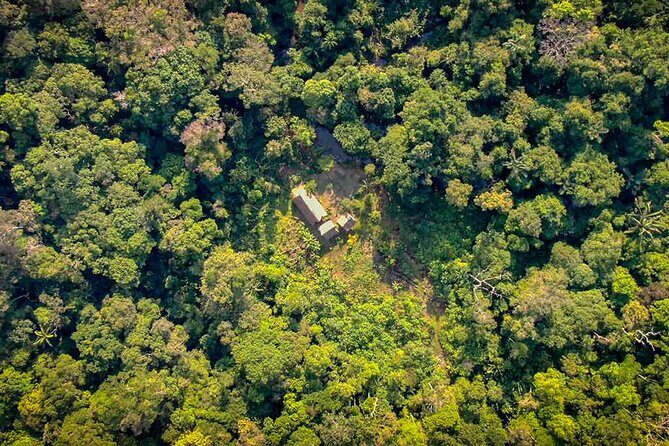 4 Days Deep Jungle Experience - Key Points